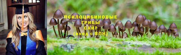 прущий лед Белоозёрский