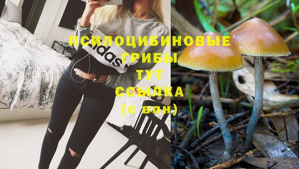 твердый Богородицк