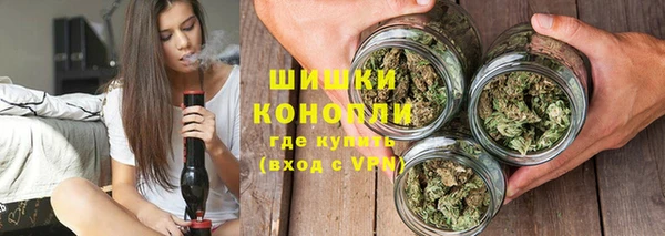 твердый Богородицк