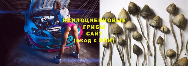 прущий лед Белоозёрский